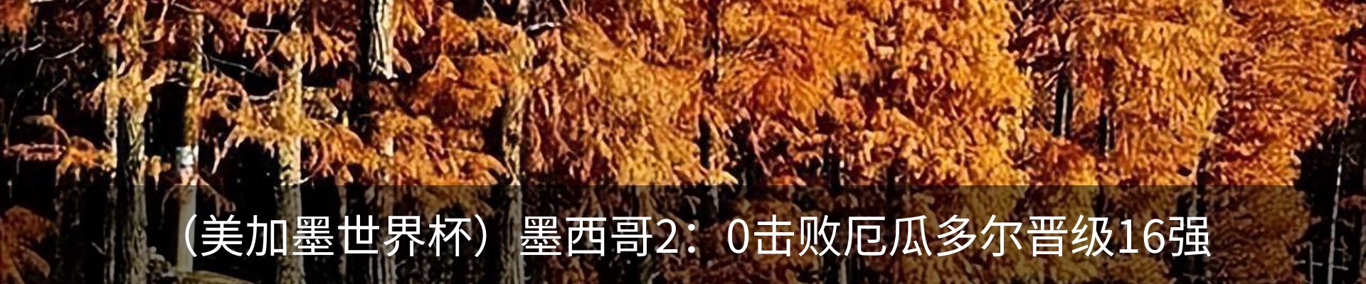 内页banner